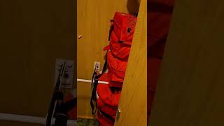 Cabin 2313 Independence of the Seas Spacious Interior #cruiseship #royalcaribbean #cabin