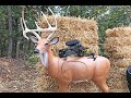 BigShot Back Yard Buck 3D Target Review