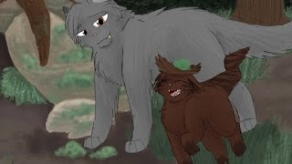 Top Ten Most Adorable Warrior Cat Kits