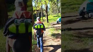 Download lagu TRACKING BASECAMP PERMADI GUCI KE POS 1 GN SLAMET #atapjawatengah #gunungslamet3428mdpl #nature mp3