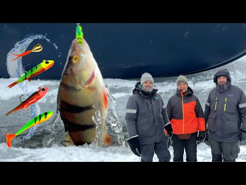 Isolla pilkillä kuulutetaan ja pienellä pyydetään - Ahvenen pilkintää merellä  - Ahvenen pilkintä