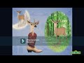 Sierra Edit Elmo S World Quizzes Wild Animals Elmosworld Wildanimals