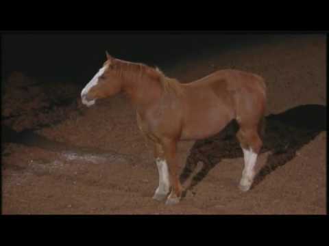 Beautiful tribute to bucking horses at RodeoHouston