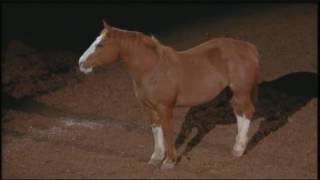 Beautiful tribute to bucking horses at RodeoHouston
