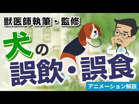 犬の異食症症候群 - 症状と治療法