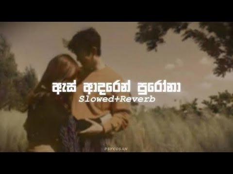 As adaren Purina | ඇස් ආදරෙන් පුරෝනා(slowed & reverb)