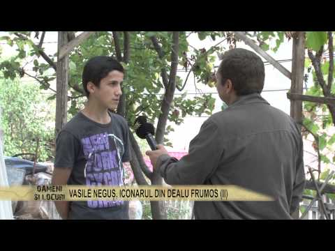 Vasile Neguș, iconarul de la Dealu Frumos, partea II