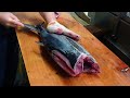 Bonito Fish Filleting Sashimi Making