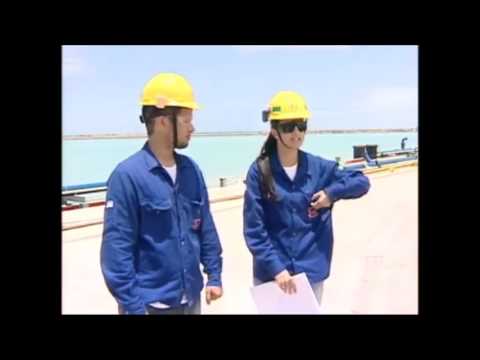 Estaleiro Jurong - Um gigante na construção de navios em terras capixabas