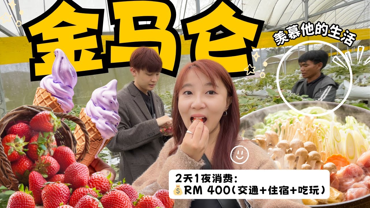 金马仑2天1夜消费：💰RM400，18°C的天气一定要吃“火锅🍲”！花RM30块采了超大粒草莓🍓！