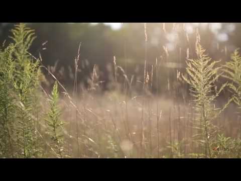 15 años Luz Marina Gomez Cartabia