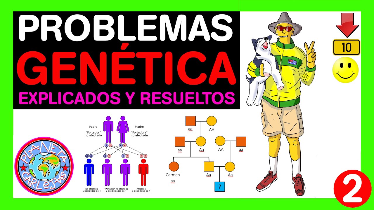 ▶️02 PROBLEMAS GENETICA 4 ESO 😎🔬