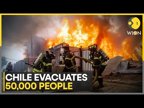 Chile Wildfires: Forest Fires Rage As 50,000 Are Evacuated In Chile | WION
