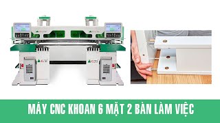 Máy khoan cnc 6 mặt 2 bàn làm việc Holztek