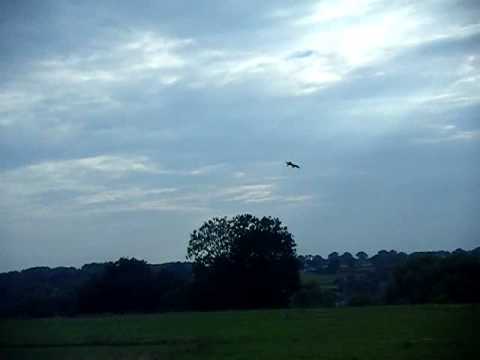 SPAD Mini Pizza Box Flyer with a rudder