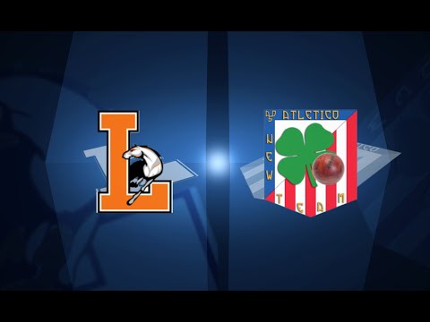D - 15^ - Lositana VS Atletico New Team - futsalfanner.it