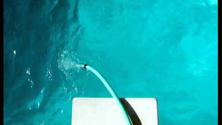 Long Live I by Angela McCluskey