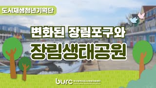 [청년기획단] 도시재생으로 변화된 “장림생태공원과 장림포구”