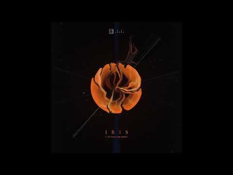 Goo Goo Dolls - Iris (Matt Van & Mr FijiWiji Cover)