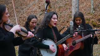 The Fly Birds - "Let Each Other Go"