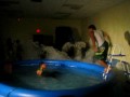 Daggering In The Pool
