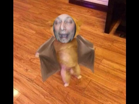 Bwett Quiplash - Bad Audio