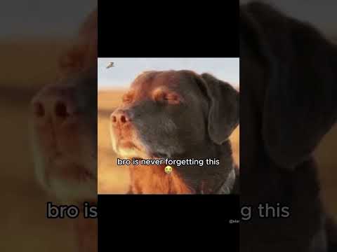 Yea bros not forgetting this play 😭✌️