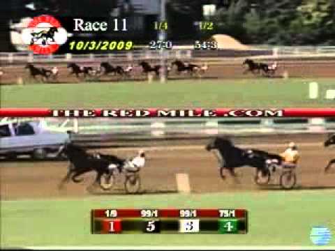 Kentucky Futurity Final 2009 -Muscle Hill
