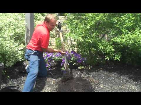 download lagu mp3 mp4 Wet Soil, download lagu Wet Soil gratis, unduh video klip Wet Soil