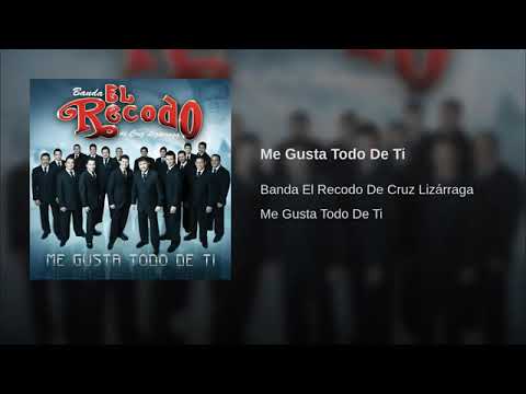 Me Gusta Todo De Tí - Banda El Recodo (Me Gusta Todo De Ti)