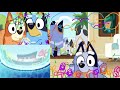 Bluey Season 3 Faceytalk Phone Falling In To The Pool Scene
