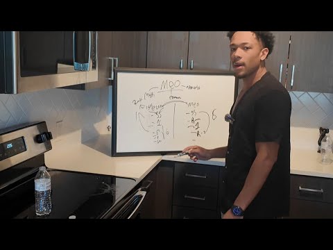 The Best Way To Start MEO (new business model)