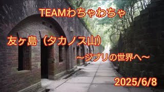 友ヶ島でラピュタ気分を味わう🎶　#友ヶ島　#ジブリ　#廃墟　#タカノス山
