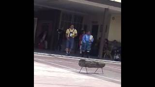 Escuela gildardo magaña