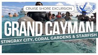 Cruise Shore Excursions - Grand Cayman Stingray City, Starfish Point and Coral Garden Excursion