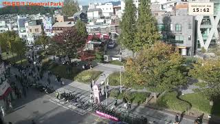 연트럴 시바님의 실시간 스트림 live webcam