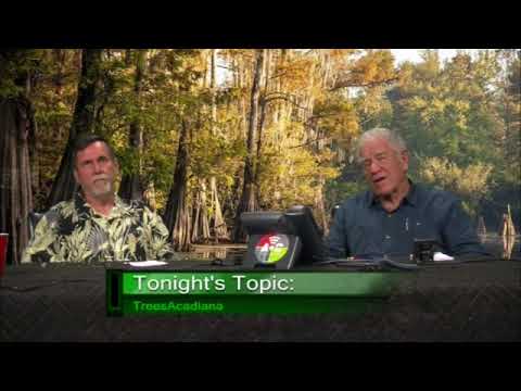 Eco-Logic, Episode 18A003