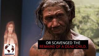 Bones reveal Neanderthal child was eaten by large bird