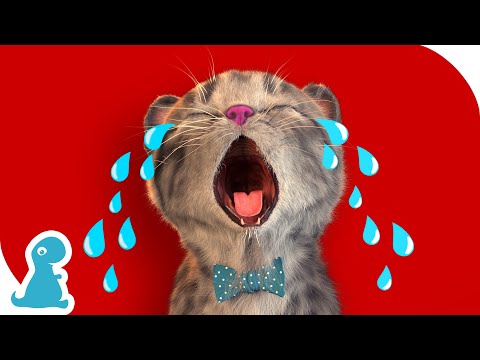 SPECIAL LITTLE KITTEN ADVENTURE MEOW - CARE FOR THE KITTEN AND HER SPECIAL LONG ADVENTURE JOURNEY