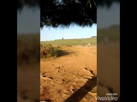 Velocross crf 250r crf 230