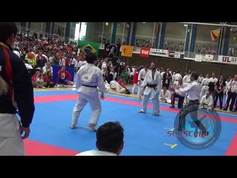 HIGHLIGHTS - 14th Funakoshi Gichin Cup, Japan vs Russia Team Kumite