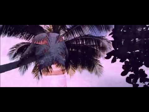 amida dragon _ SRY (prod. Smart DMS)