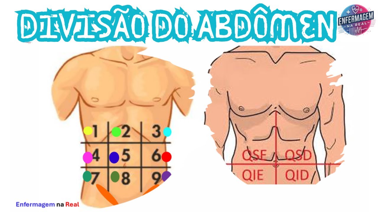 DIVISÃO DO ABDOME: Como Usar os Quadrantes Abdominais para Diagnósticos Rápidos e Precisos