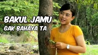 Download lagu Bakul Jamu Gak Bahaya Ta mp3