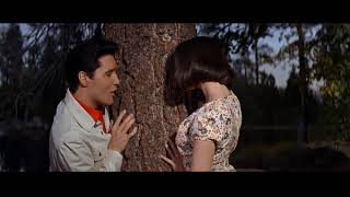 Elvis Presley - Catching on Fast Alternate video clip