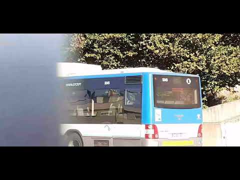 STCP  Linha 805 Veiculo 3245