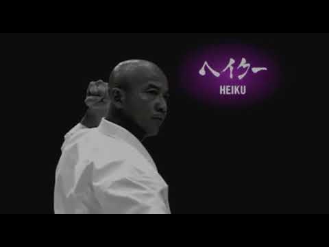 Ryuei-ryu - Sakumoto-sensei - Heiku