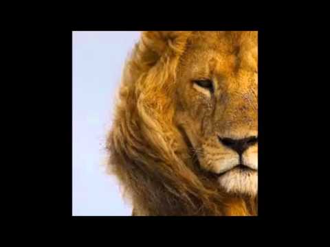WinstonDubProject feat Askata-The wild lion