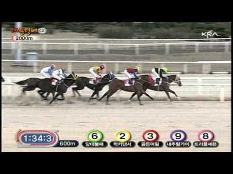 2010 The President's Cup (G1) - Dangdae Bulpae