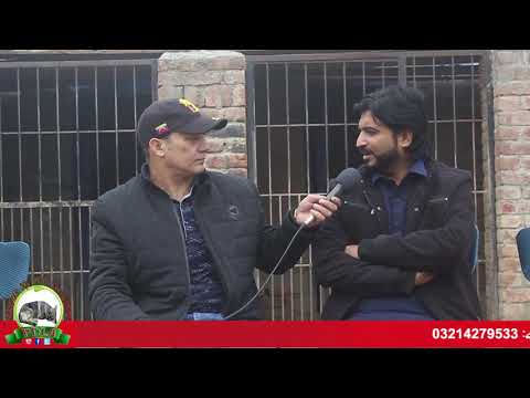 Bull Dogs Of Qasim Javaid Sandela From Memo Wali Part 4 Watch In HD Urdu/Hindi